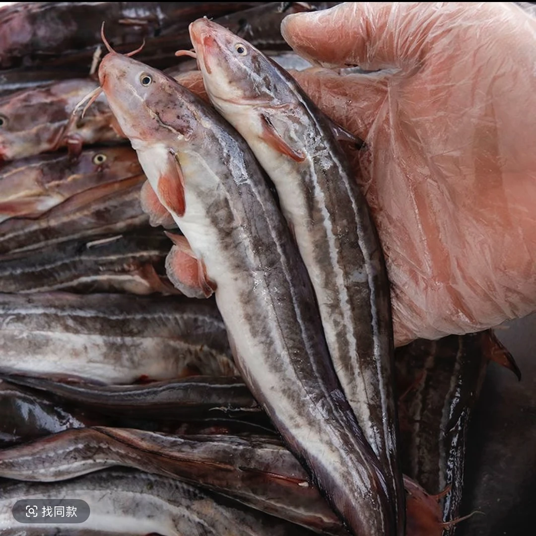 【找一品】汕尾港 野生沙毛鱼 三毛鱼