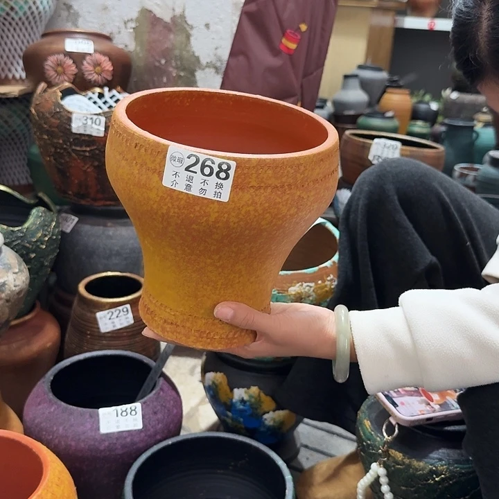 黄色鱼尾268高度20口径18