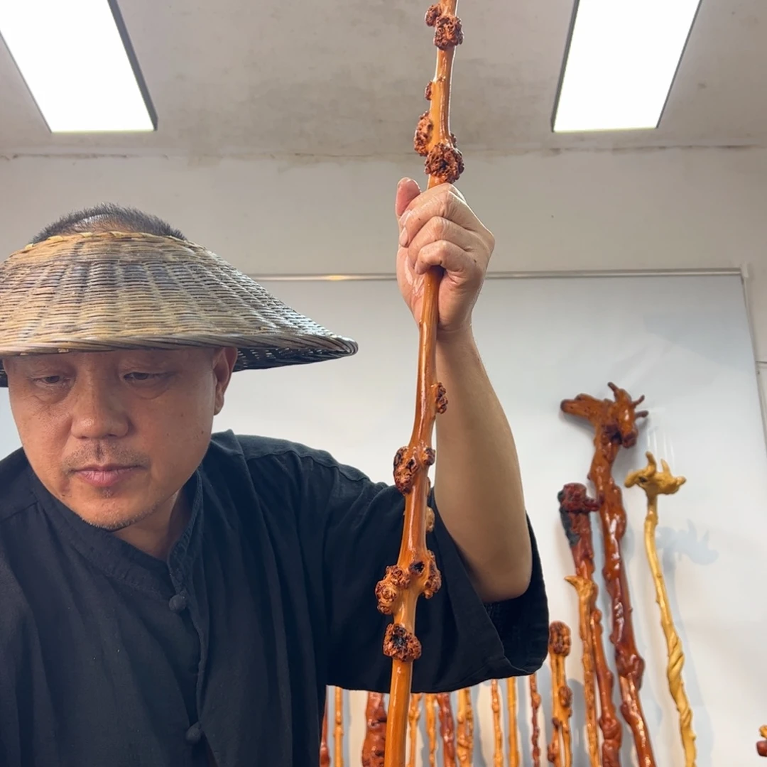 同***堂黑果木其他黑果木374