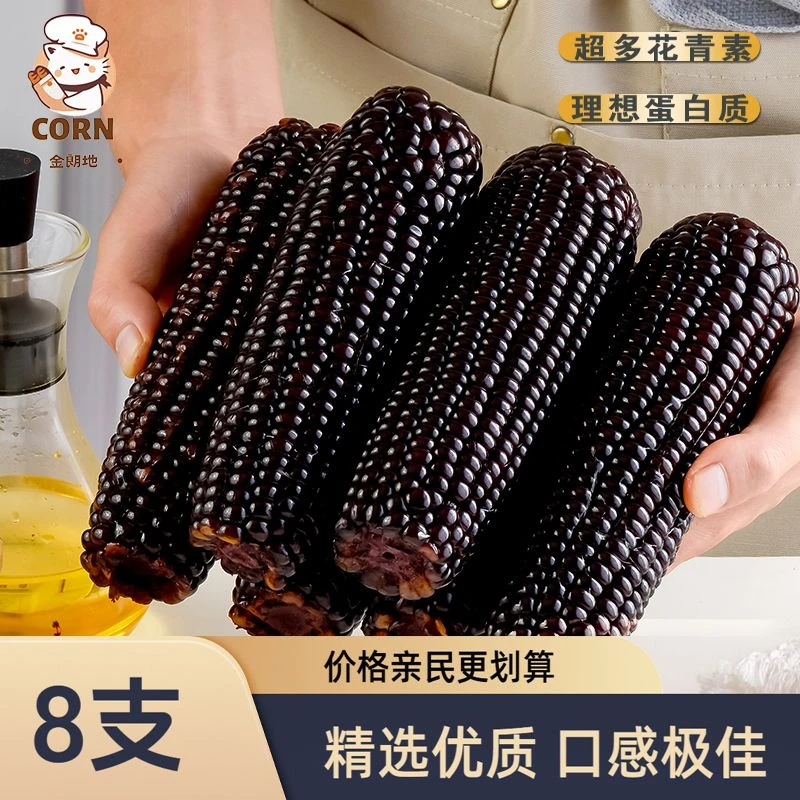 金朗地【福利活动】东北粗粮黑玉米糯玉米250*8支4-5斤,贼好吃!