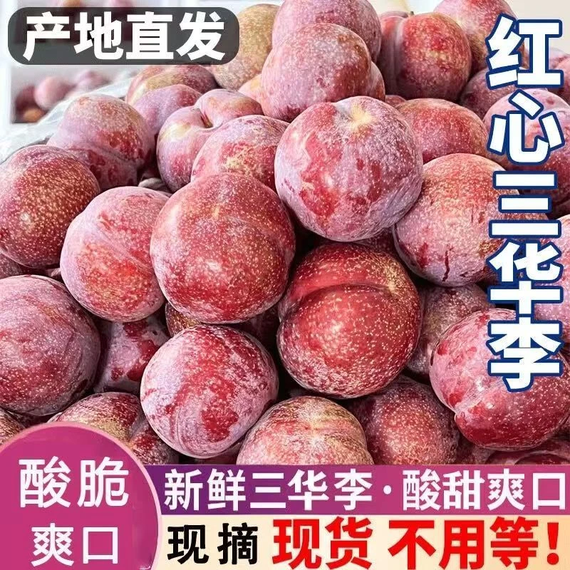 钱排三华李大果新鲜红心应季当季水果酸甜包邮现摘热卖批发