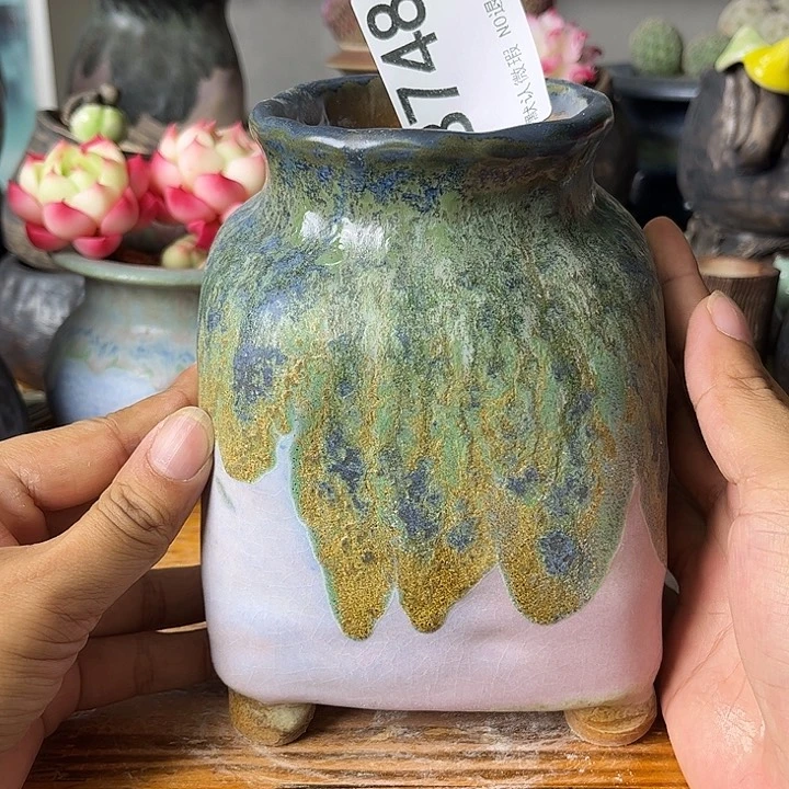 重庆小燕子欢迎大家748