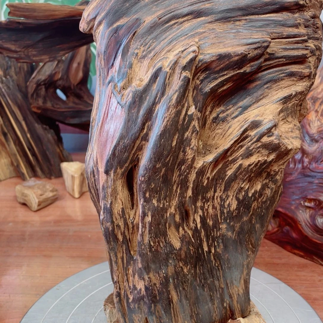 摄***人你明明窜女命哟呵名