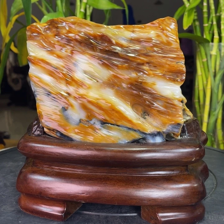 硅化玉未镶嵌珠宝奇石高19