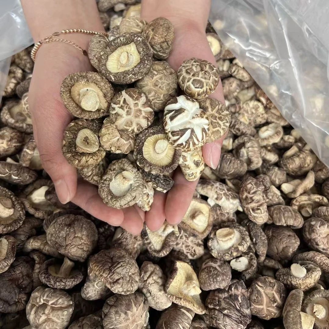 风干山珍，一口咬下干香菇的醇厚鲜香