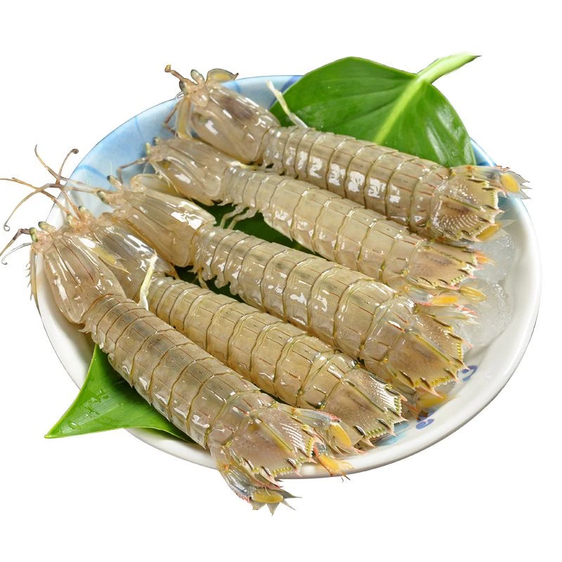 【长春同城】 皮皮虾 3斤（保鲜不保活大小混）