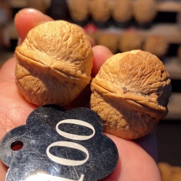 木质类七彩水晶蛇皮球33尺寸