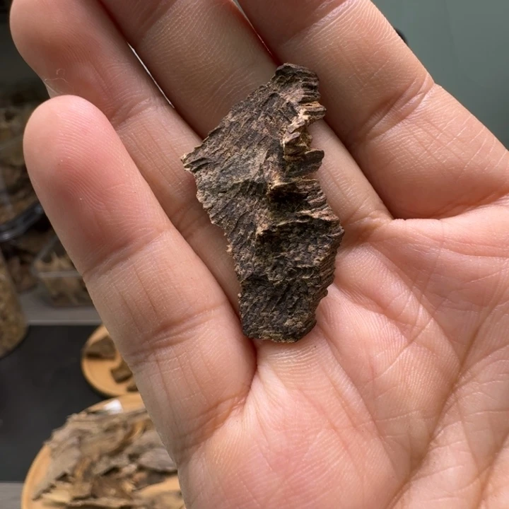 海南尖峰岭沉水小料1.5克
