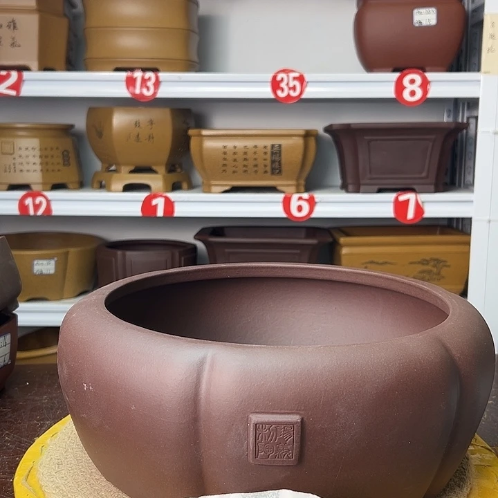 紫砂花盆你在一起