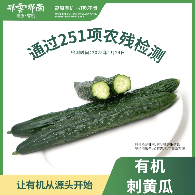 云南高原新鲜有机农场黄瓜鲜甜可口可生吃凉拌做沙拉4斤生鲜蔬菜