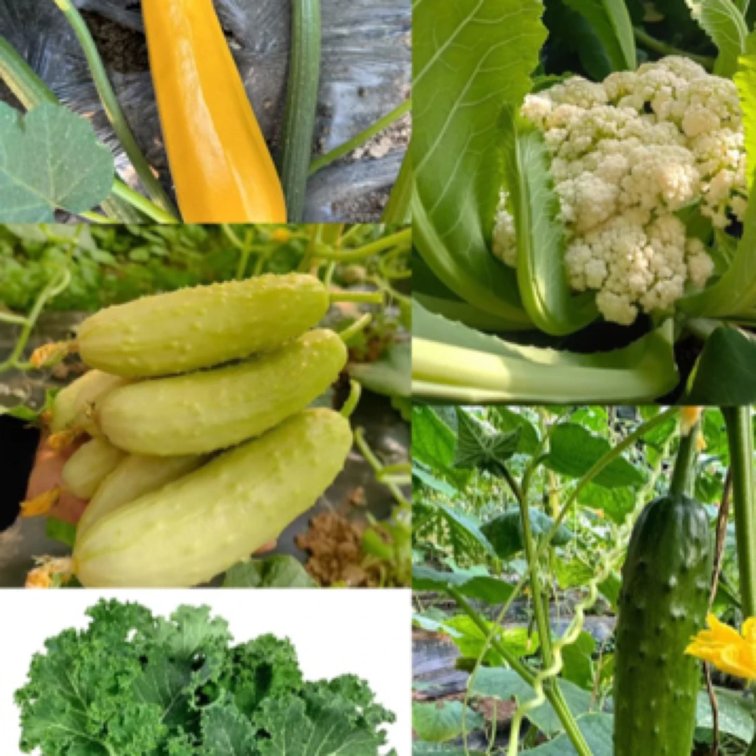任意三种蔬菜拼三斤绿色蔬菜