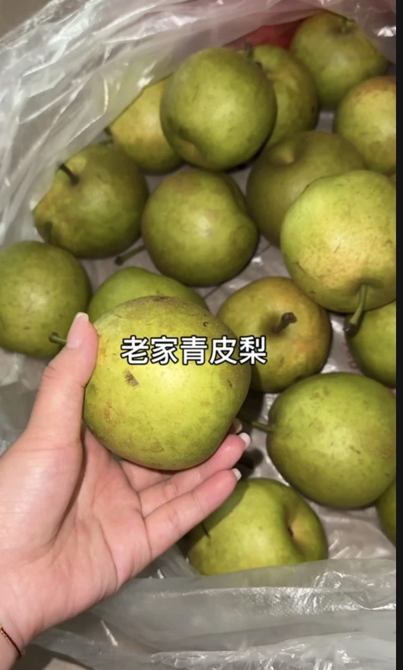 老家本地青皮梨多汁无渣