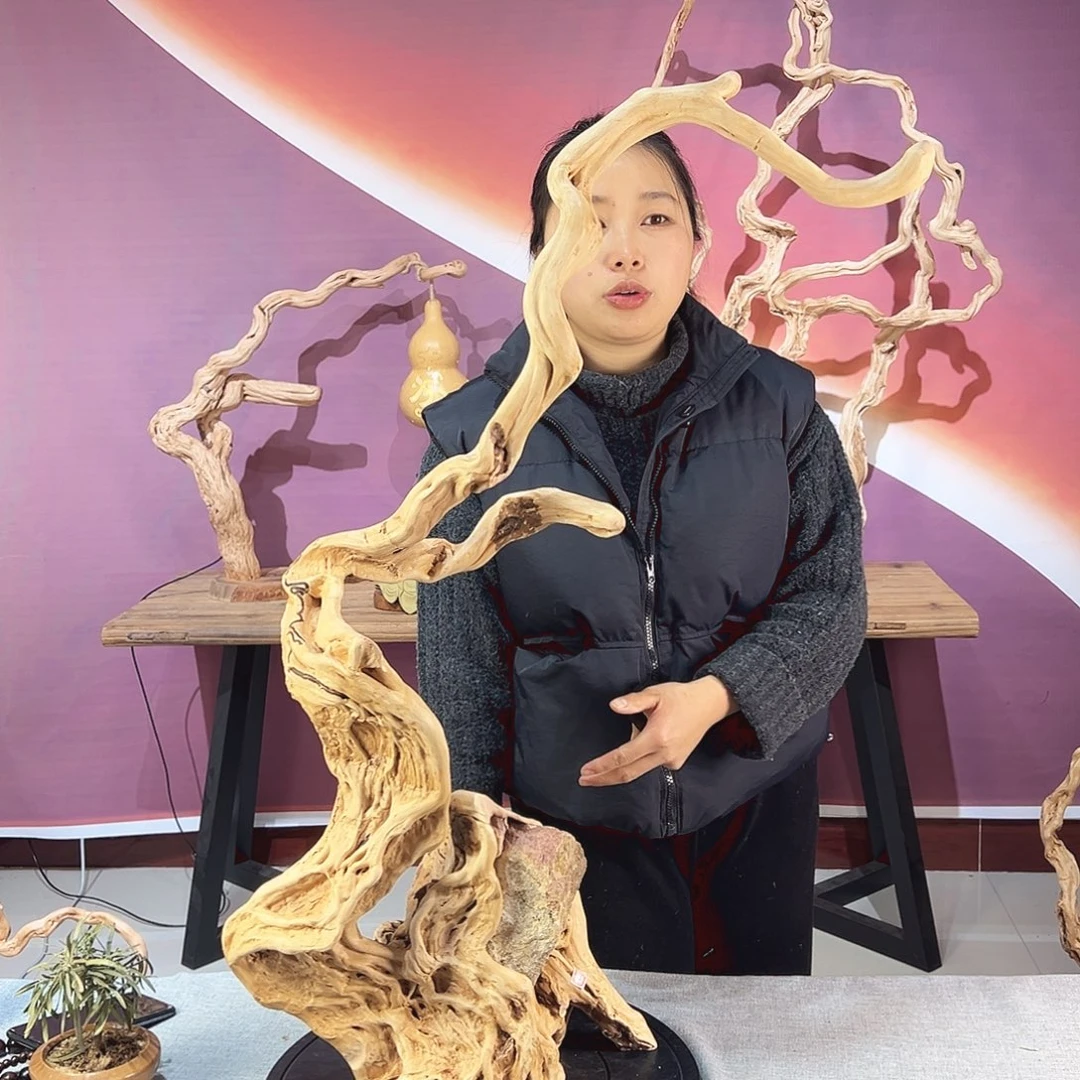 博***界木天然杜鹃根根艺摆件