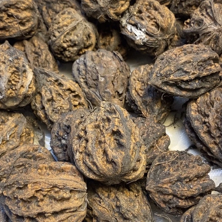 吊坠桃核东北特产70