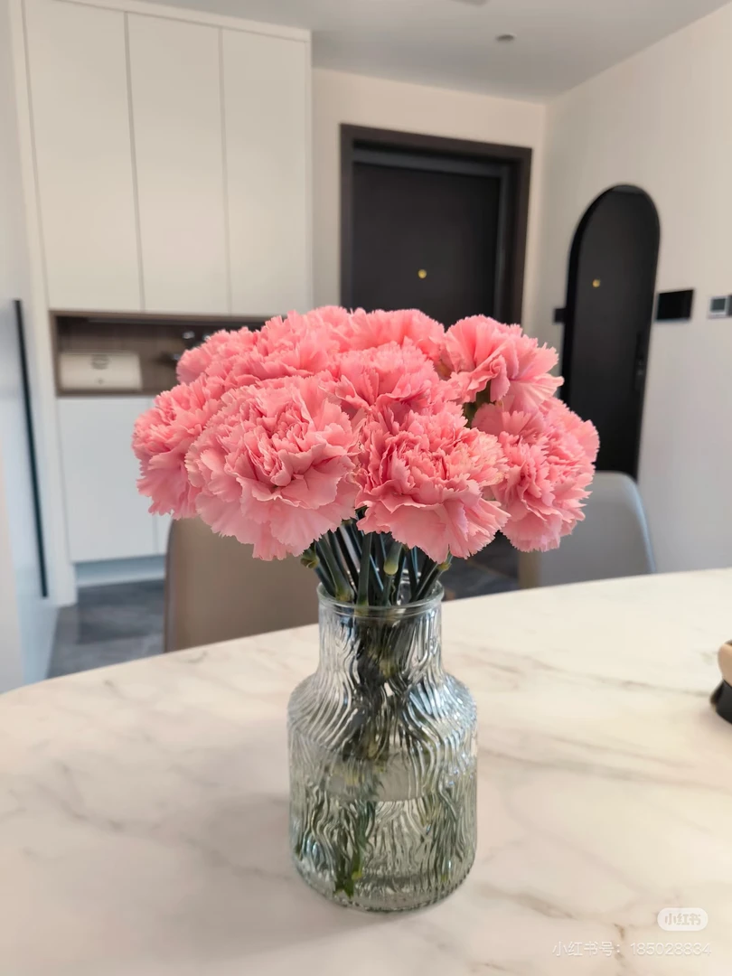 云南精选粉色康乃馨