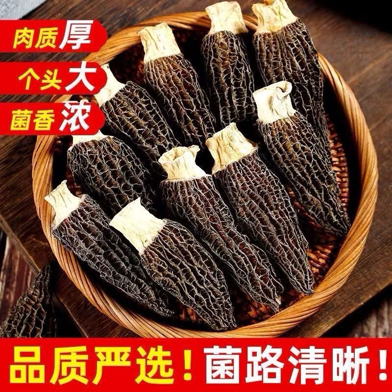 正宗头茬羊肚菌超级大号新鲜干货无硫肉厚菌菇煲汤食材老人滋补