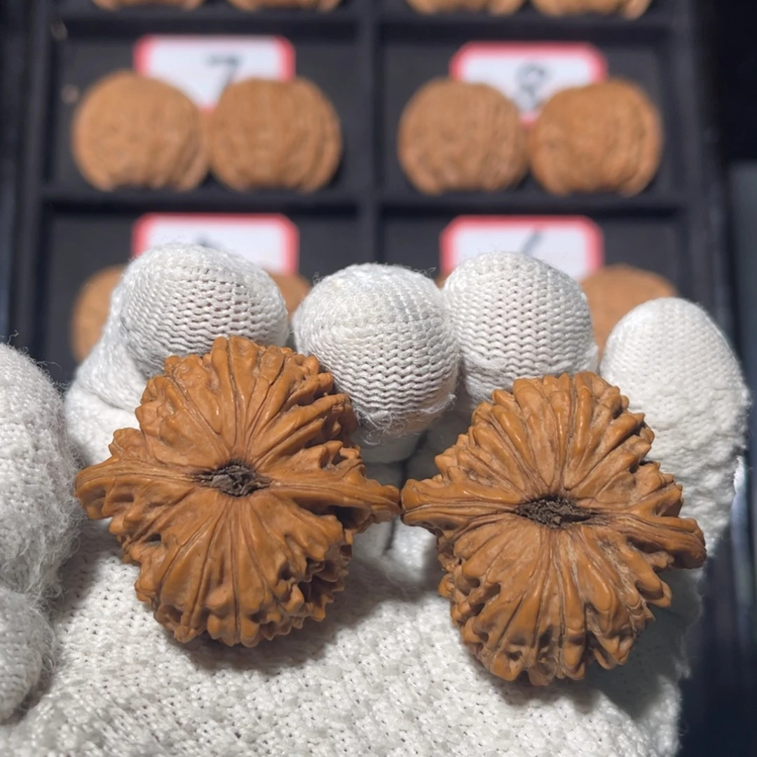 钓****吊坠文玩核桃08秦皇岛山地果全品