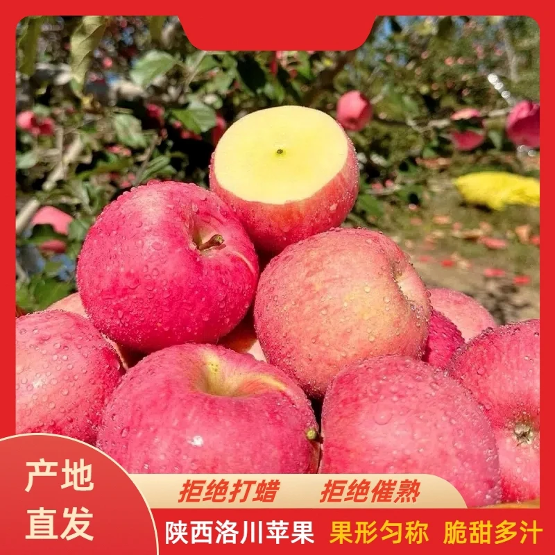【坏果包赔】正宗陕西红富士苹果脆甜多汁苹果产地直发新鲜水果