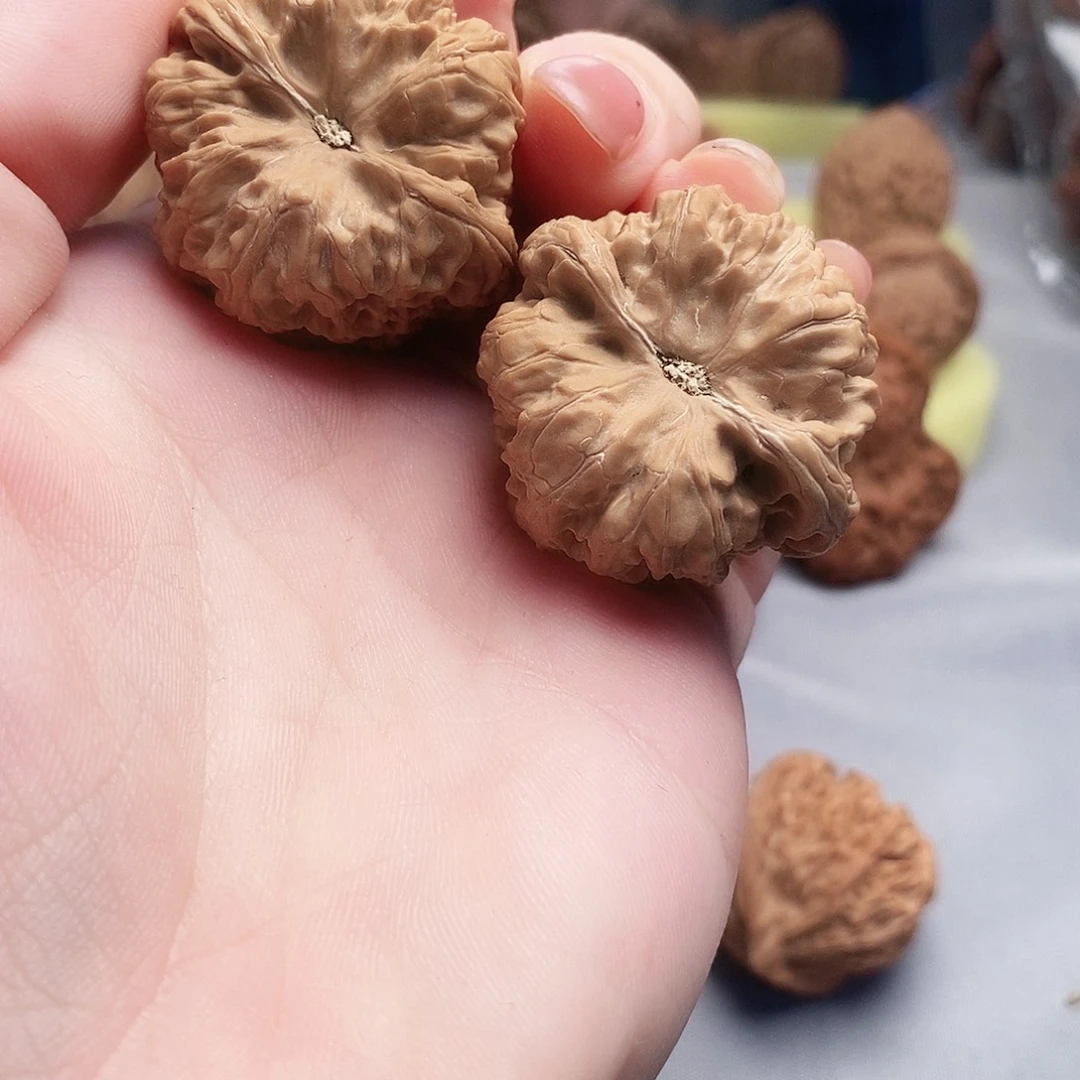 大叶紫檀（黑酸枝木类）野核