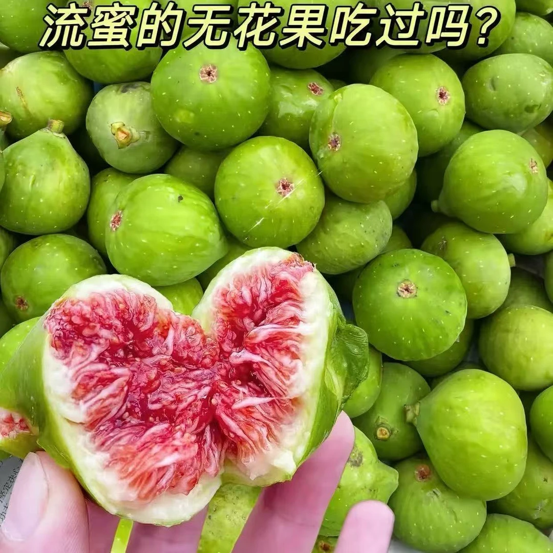 【爆品上新】威海青皮无花果  软糯爆蜜挑软的吃