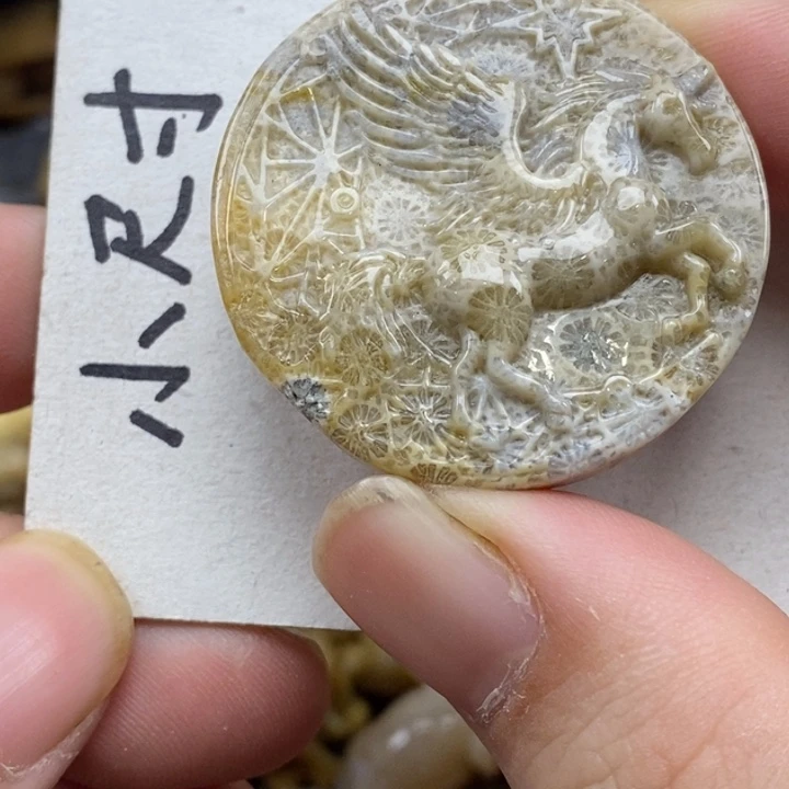 硅化珊瑚（珊瑚玉）未镶嵌颈饰