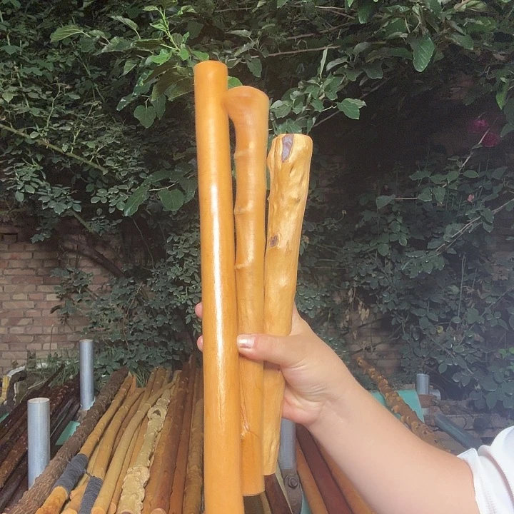 明*红荀子2个红牛筋1个