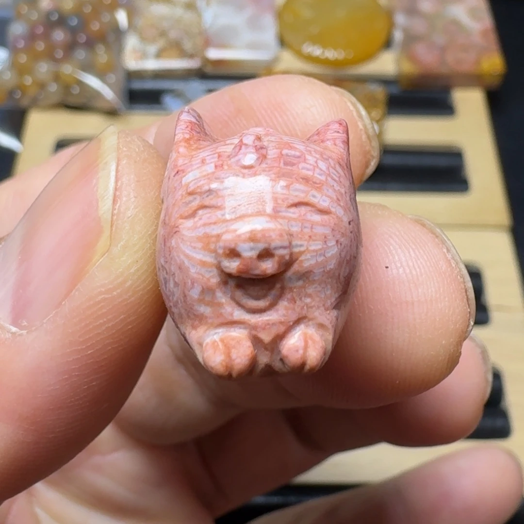 硅化珊瑚（珊瑚玉）纯天然色有机玉石未镶嵌