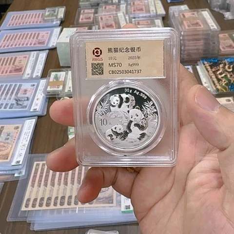 其他普通金属2025年熊猫银币30克纯银