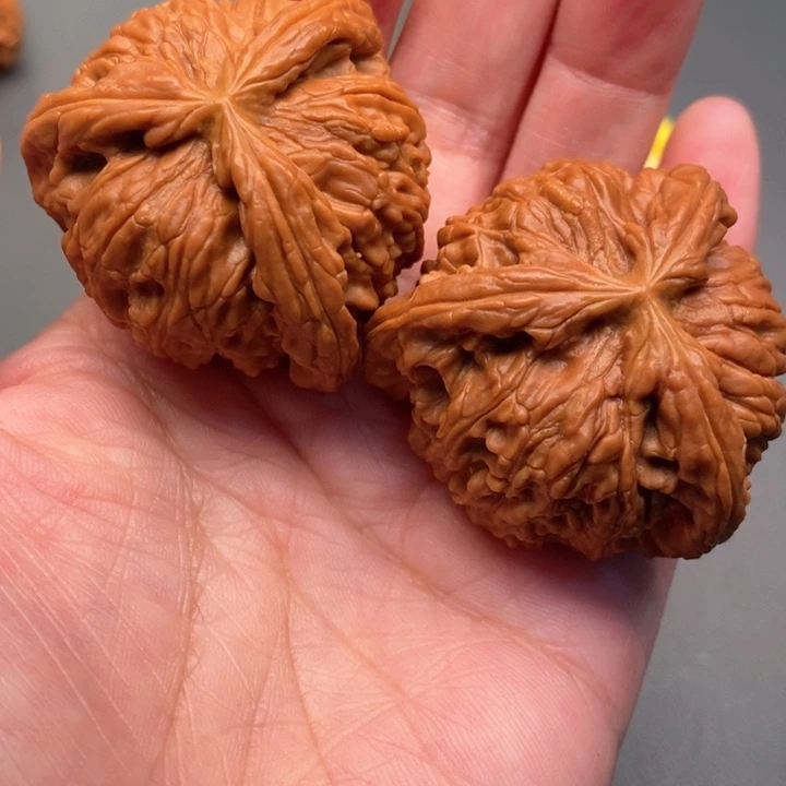木质类晨*核桃核桃