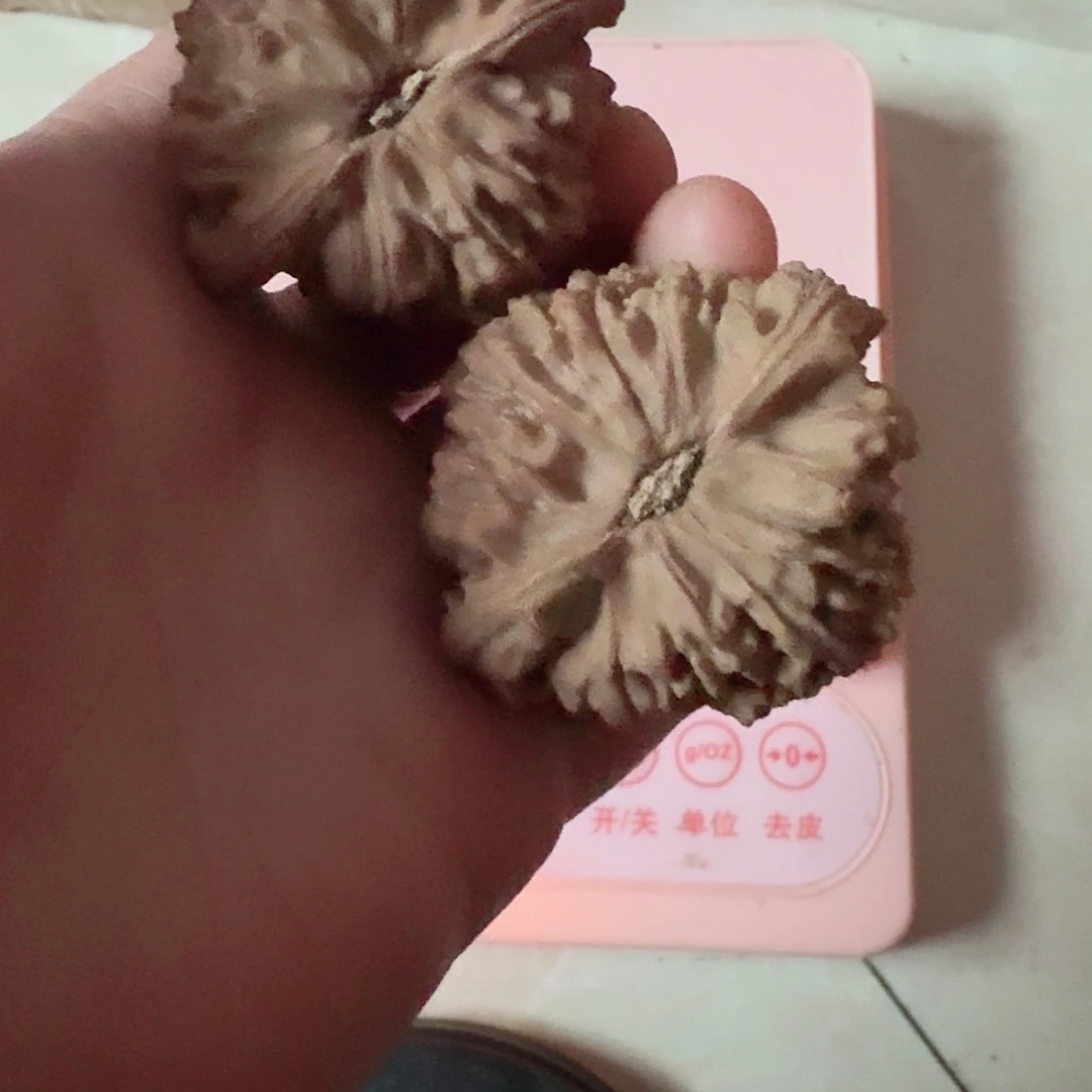 全品南疆石狮子头51.7克