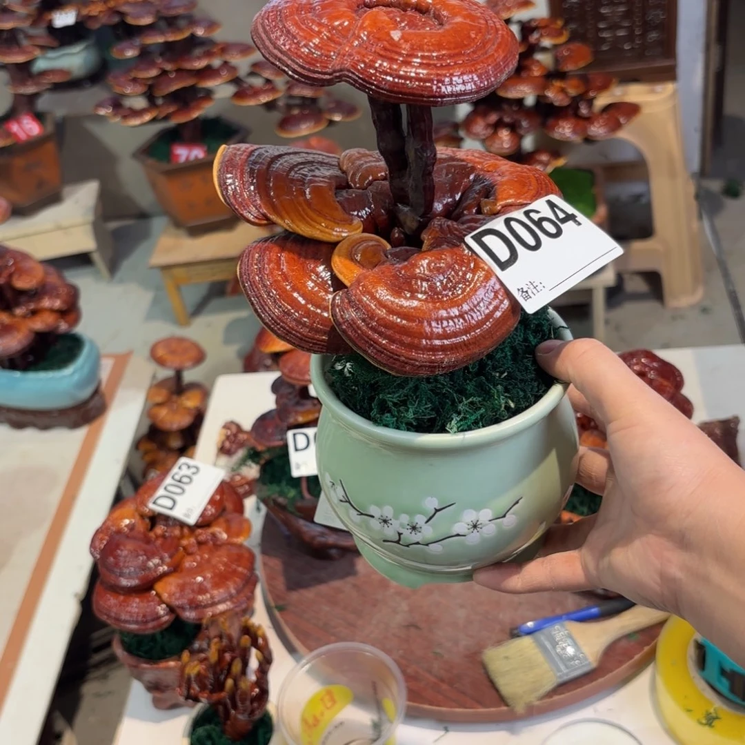 用***4灵芝888888888888888888