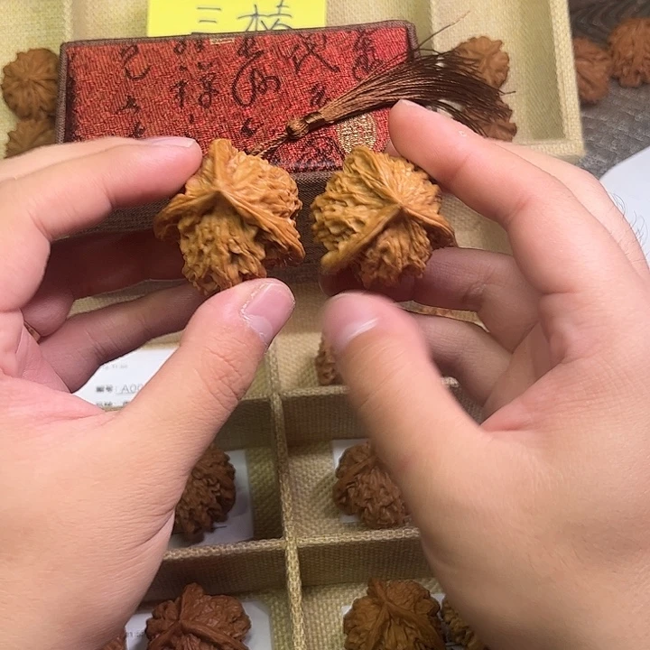 风***藏核桃核桃39尺寸尺寸
