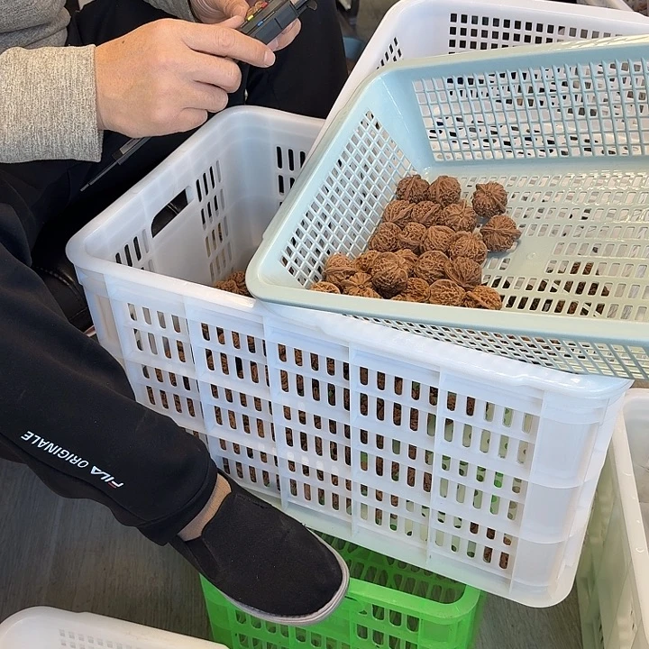 核桃全品四座楼宫灯野狼南瓜墩野生小众