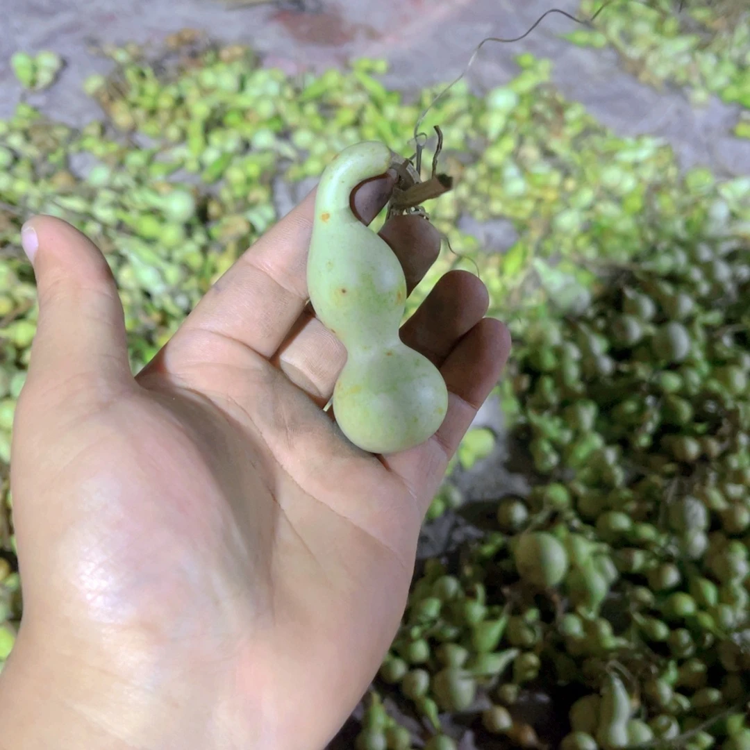 蓝***天感谢大哥支持兄弟