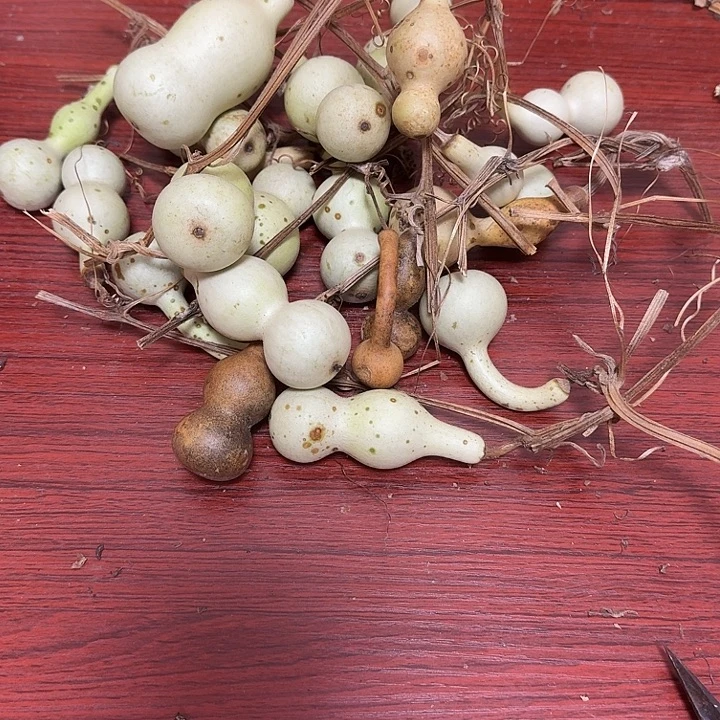 流***苏oyckyckhcoycoycoycoycoy