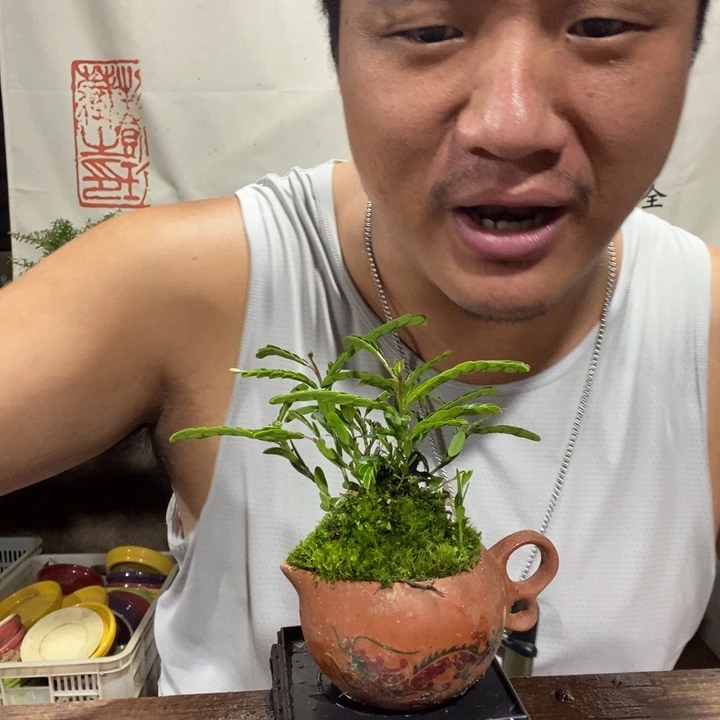 一物一拍所见即所得279