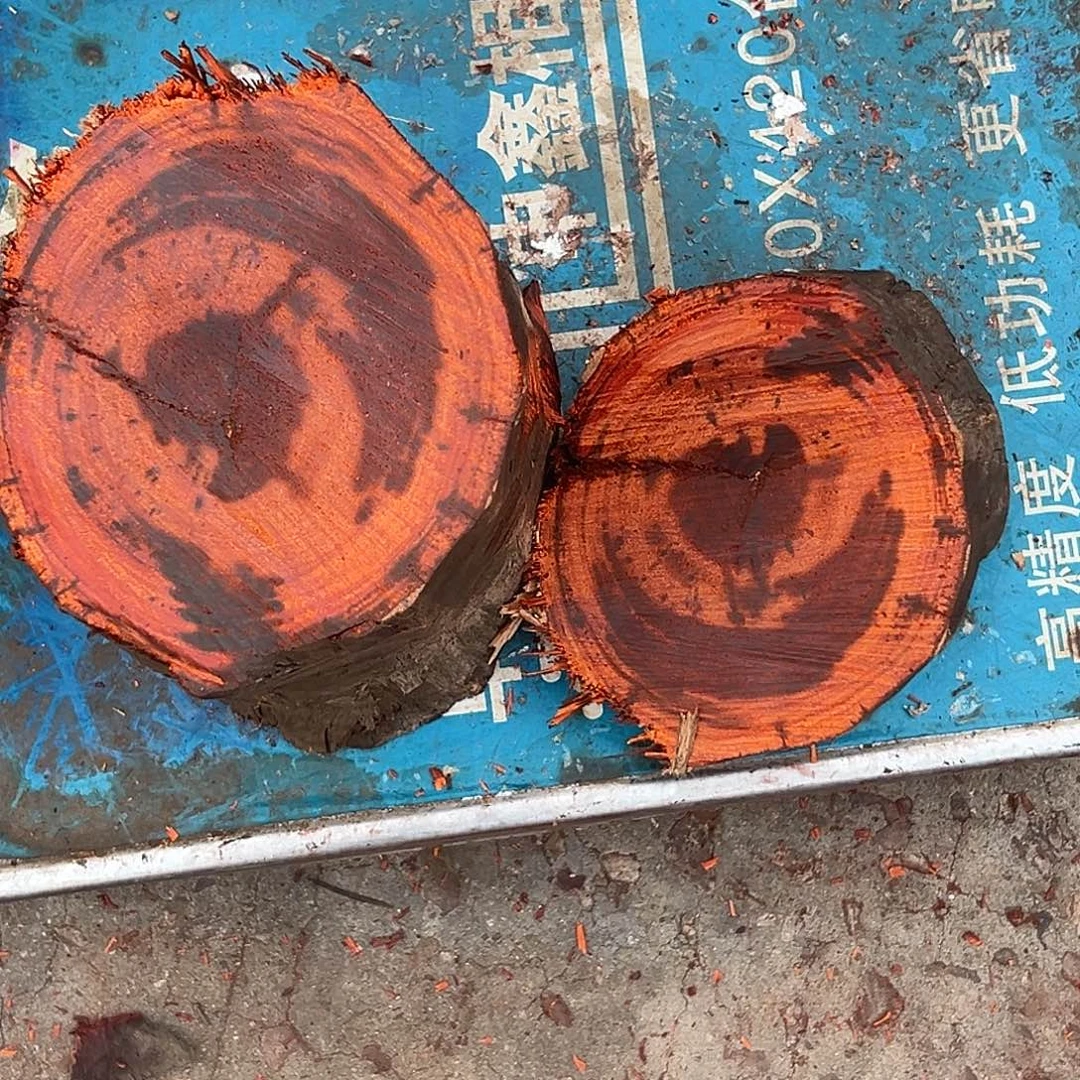 影****血檀赞比亚血檀非洲紫檀