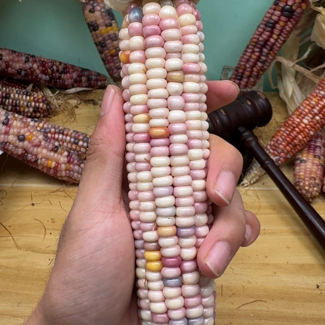 方***儿柏香籽/百香籽吊坠