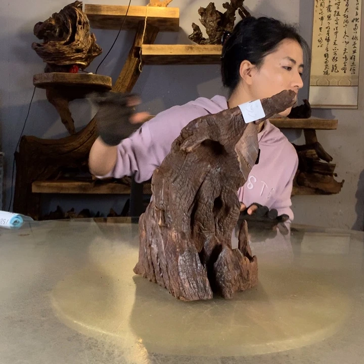 ****宝天然云南紫柚木会黄水