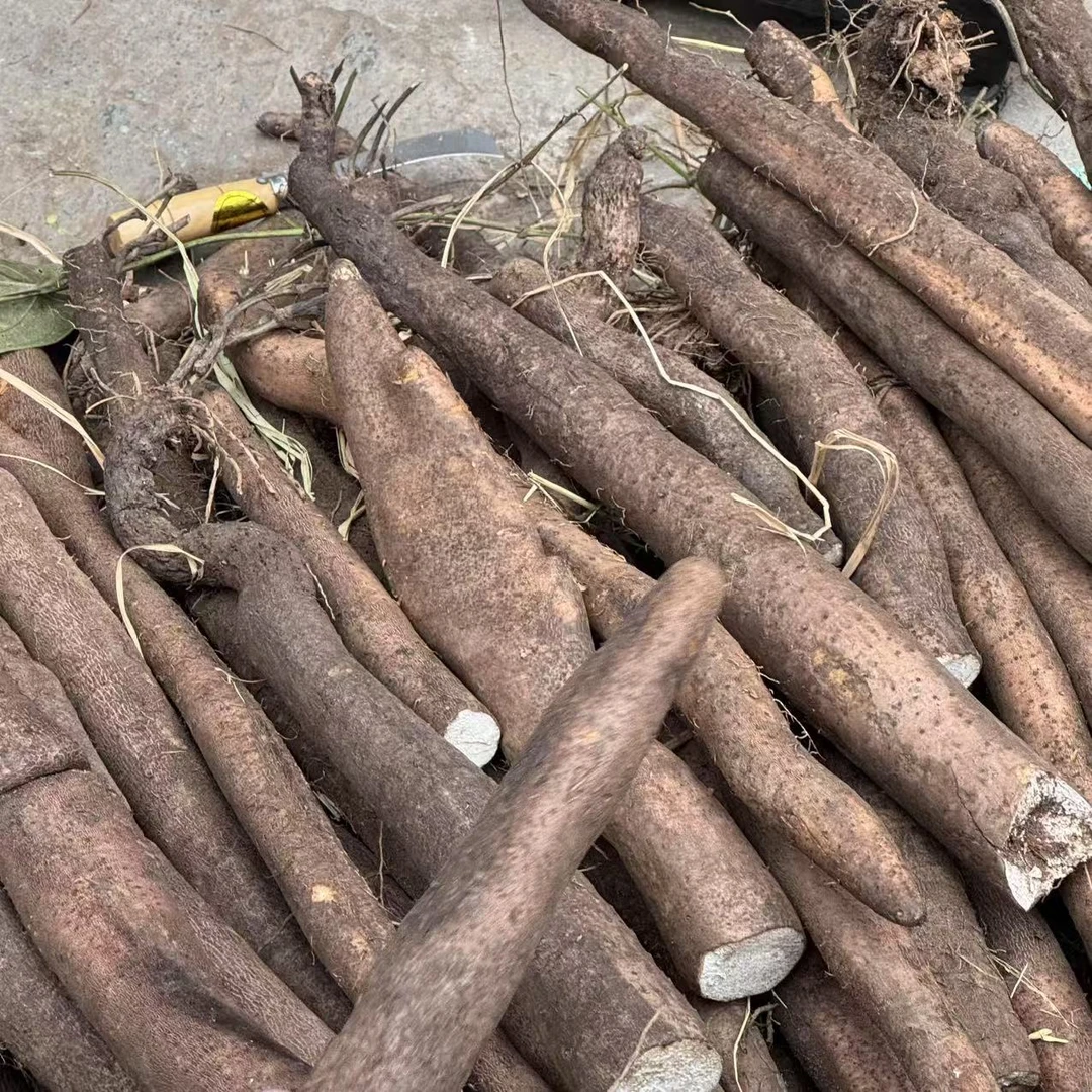 【箱装】广西农家淮山精心种植营养丰富美味