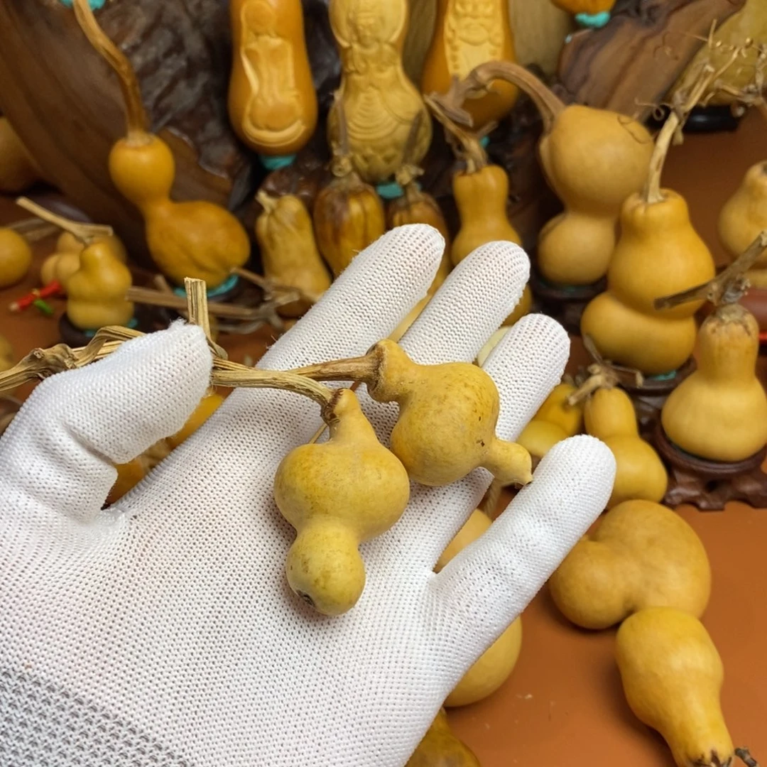 乔***琳啦啦教练咯教练咯