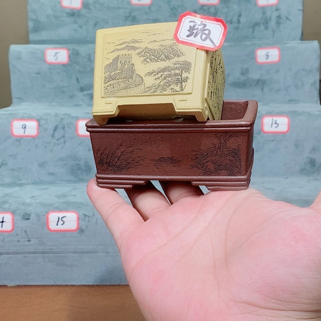 紫砂花盆我在看书