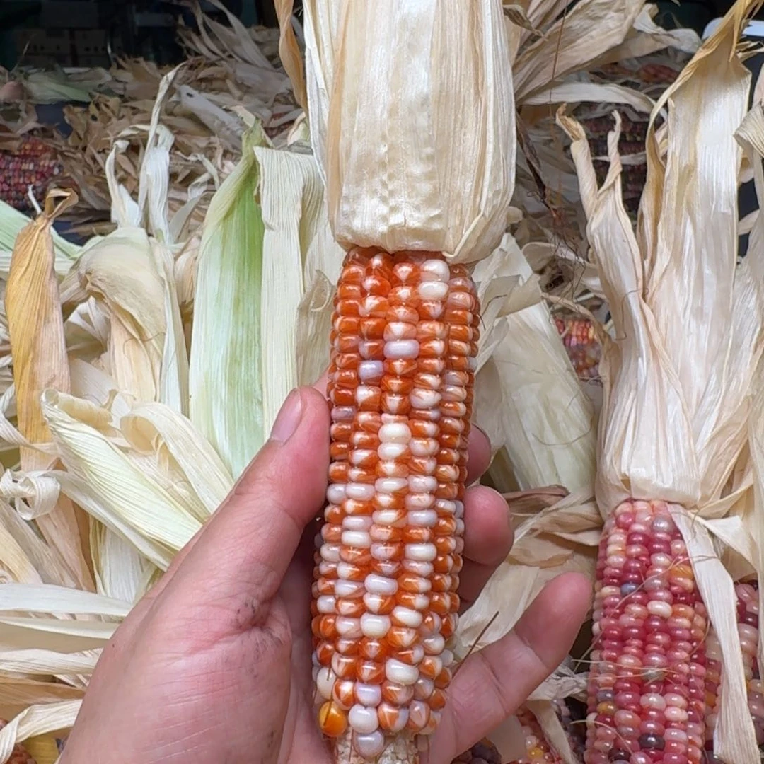 佩***姐柏香籽/百香籽吊坠