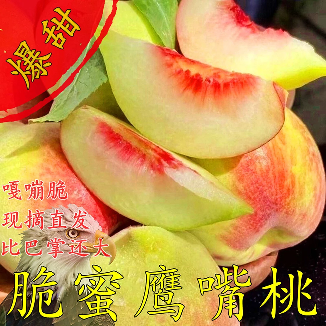 【脆甜】正宗鹰嘴蜜桃新鲜脆甜现摘当季大桃时令水果非连平上坪江西