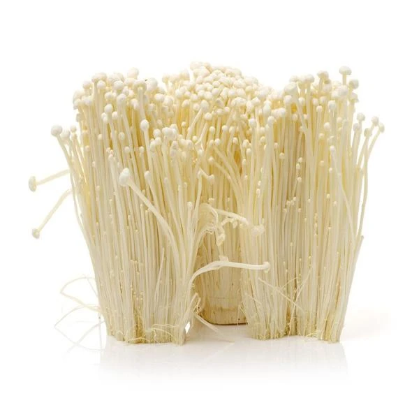 精品盒装金针菇约300克