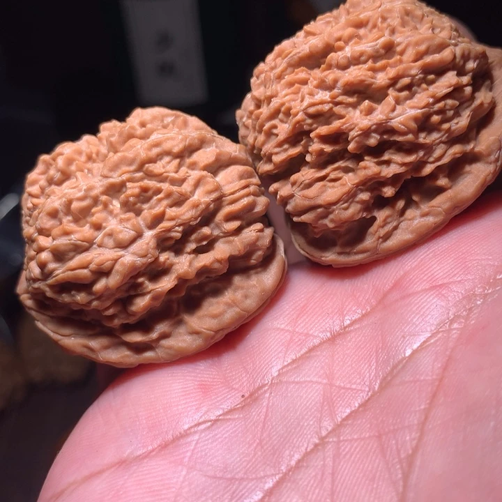 核桃137狮子头全品38麻核桃