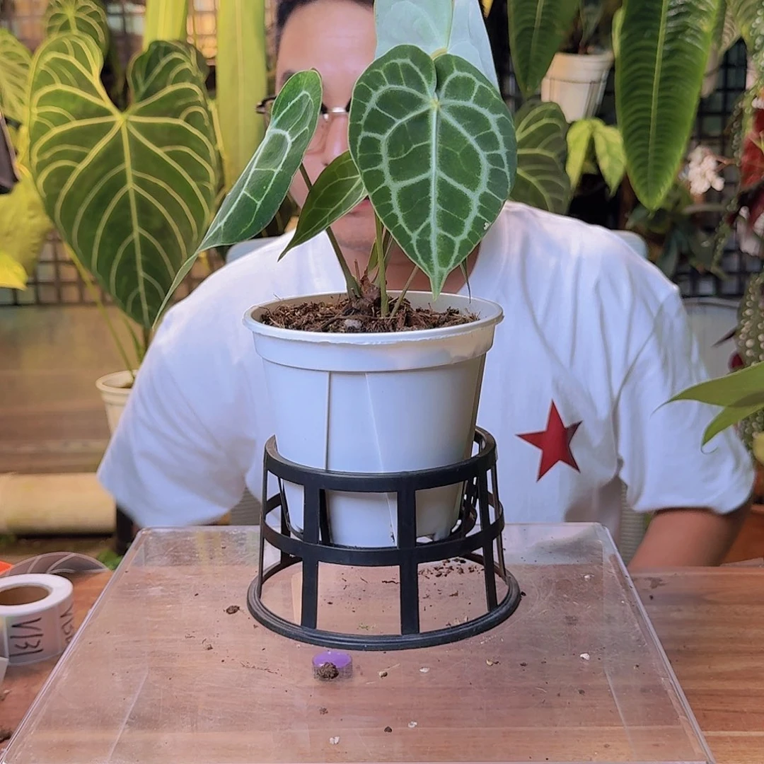 鱼***者完全开放一物一拍V122