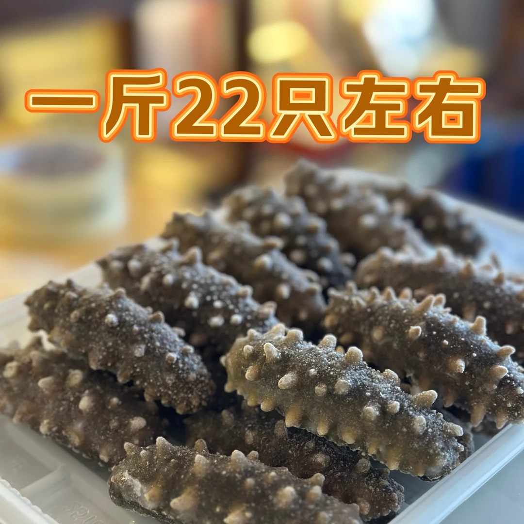 【双十二专场】  大连鲜食海参一斤装