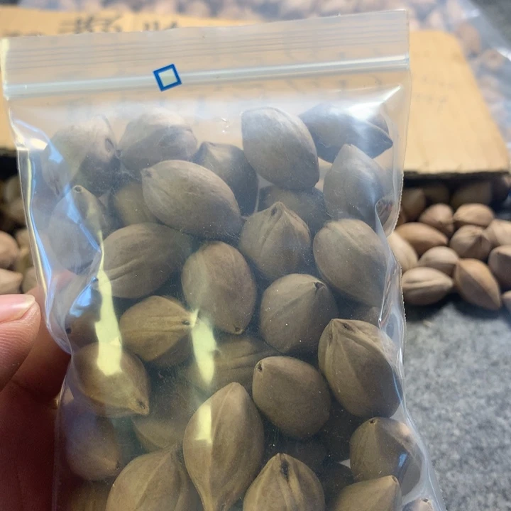 橄榄核手串/手链广东散装籽一袋45颗