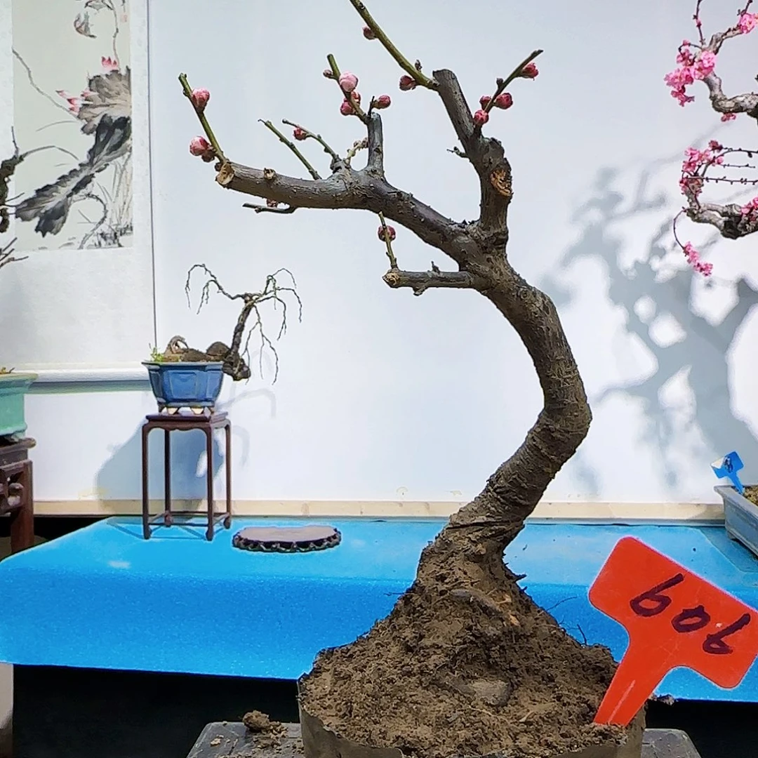 无铅玻璃空*镜d f g h k k l